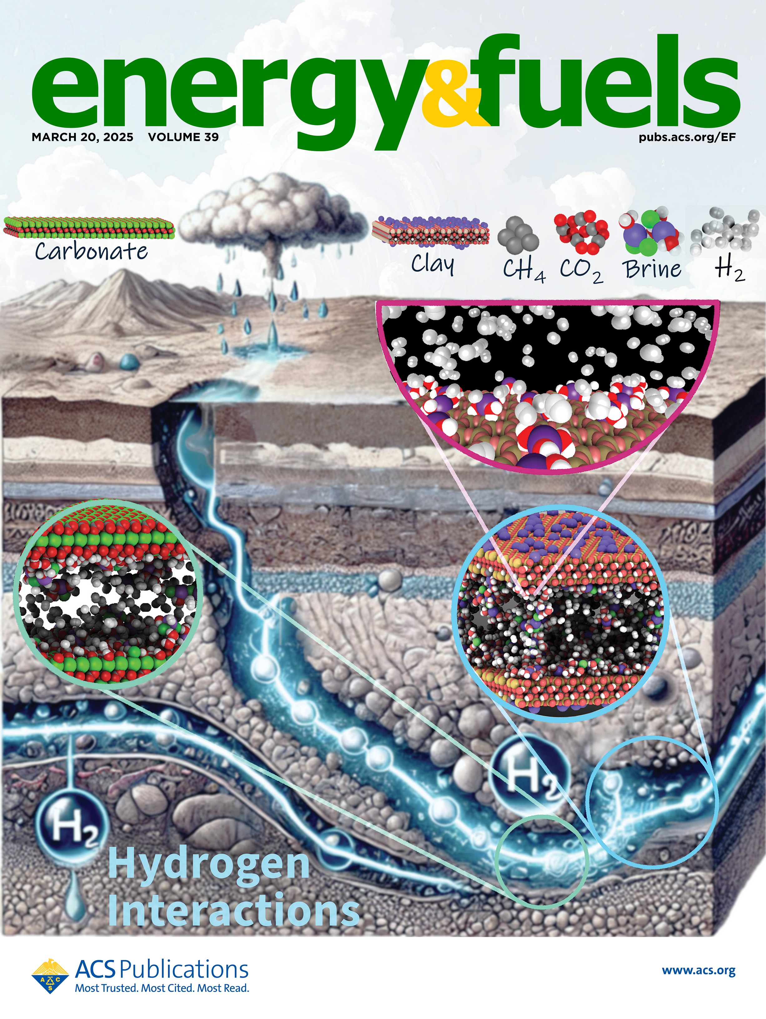 Energy and Fuels Cover Image March 2025