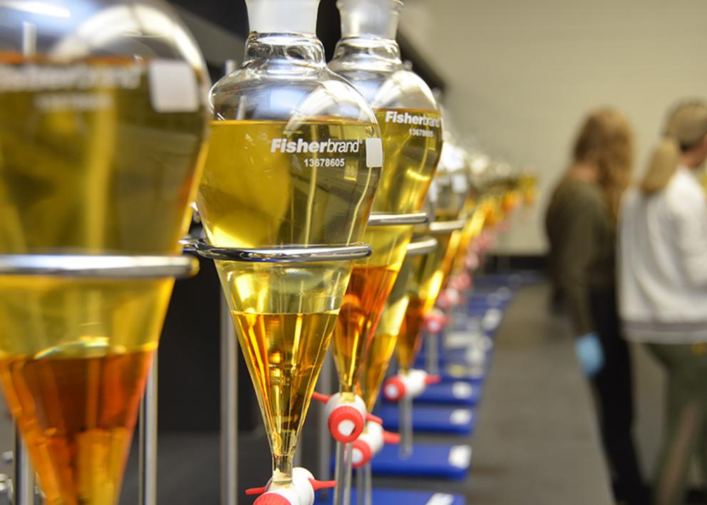 a row of claisen flasks filled with yellow fluid with students in the background