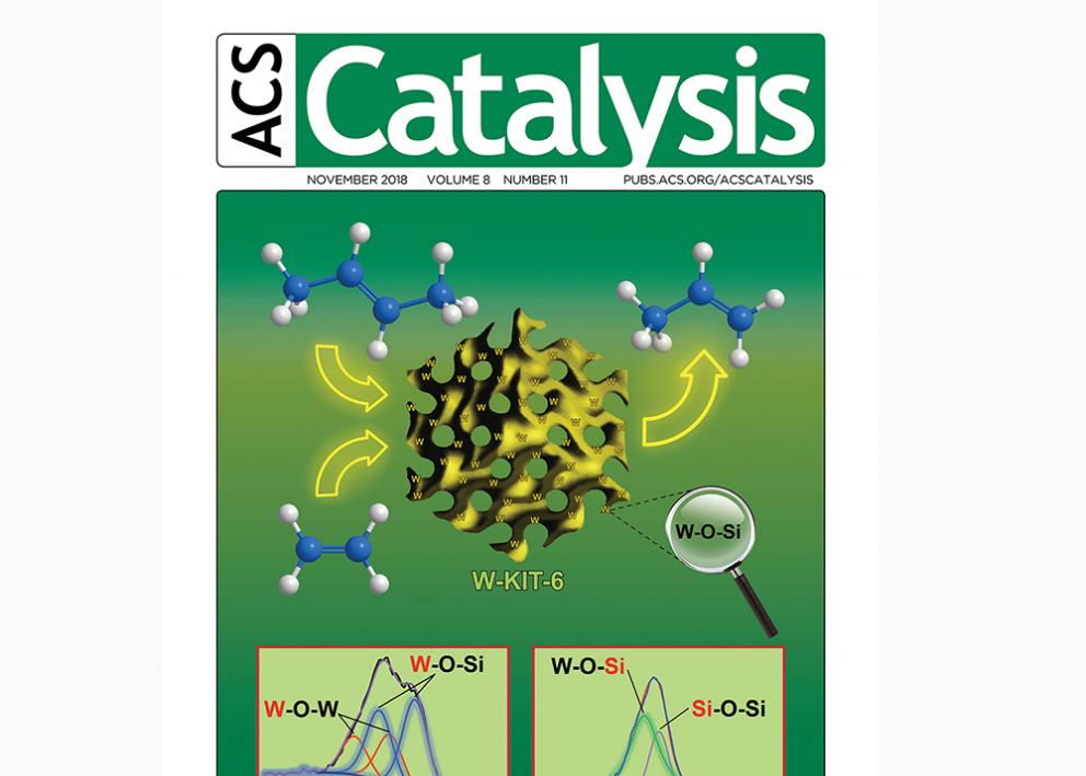 Front cover of ACS Catalysis from November 2019 featuring Prof. Subramaniam's research