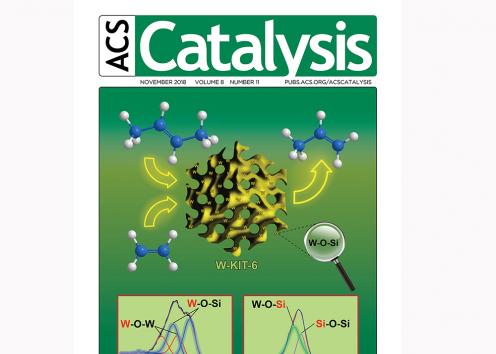 Front cover of ACS Catalysis from November 2019 featuring Prof. Subramaniam's research