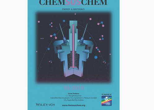 Cover of Chemistry & Sustainability from 2019 featuring Leonard Lab research