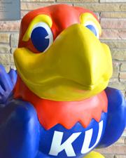 jayhawk image